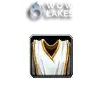 Tabard of the Lightbringer