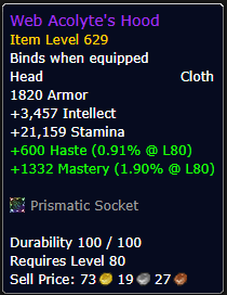 Web Acolyte's Hood - Cloth Head
