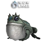 Toad in a Box(Swamp Toad)