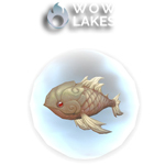 Tiny White Carp