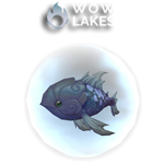 Tiny Blue Carp