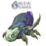 Corpselouse Larva