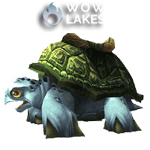 Sea Turtle