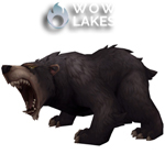 Caged Bear