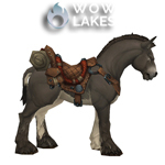 Lil' Donkey