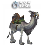 White Riding Camel