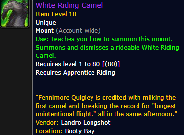 White Riding Camel