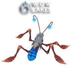 Reins of the Azure Water Strider
