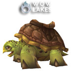Riding Turtle