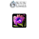 Pandaria Classic - Ammen Vale Lashling