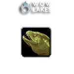 [TBC Anniversary] Stonescale Eel x40