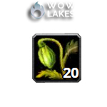 [TBC Anniversary] Khadgar's Whisker x200