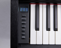 DK-150: 专业立式数码钢琴，88键重锤键盘, 92 种复音数, 300 种音色