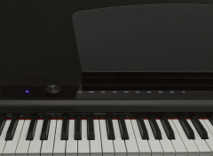 P-20: Light Portable Digital Piano with Touch Screen & Weighted 88 Keys | Best Seller