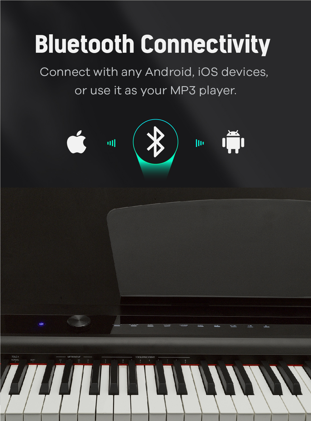 P20 Light Portable Digital Piano with Touch Screen & Weighted 88 Keys