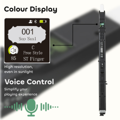 Greaten AP500 Pro Electronic Wind Instrument, 120 Sounds, Voice Control, Bluetooth