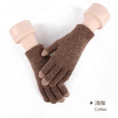 Touchscreen Winter Gloves