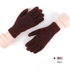 Touchscreen Winter Gloves