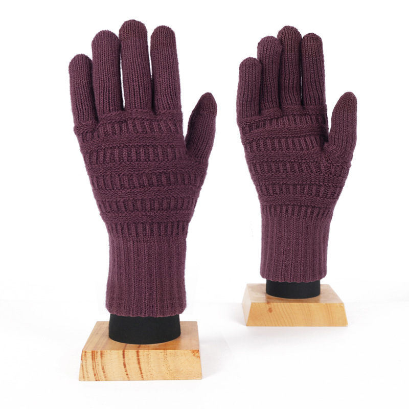 Touchscreen Winter Gloves