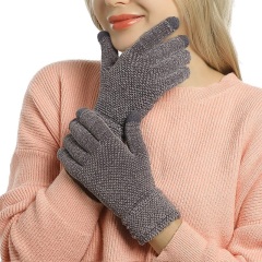 Touchscreen Winter Gloves