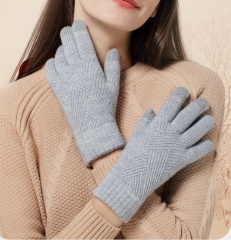 Touchscreen Winter Gloves
