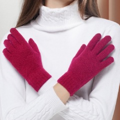 Touchscreen Winter Gloves