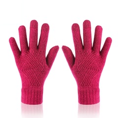 Touchscreen Winter Gloves