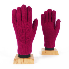 Touchscreen Winter Gloves