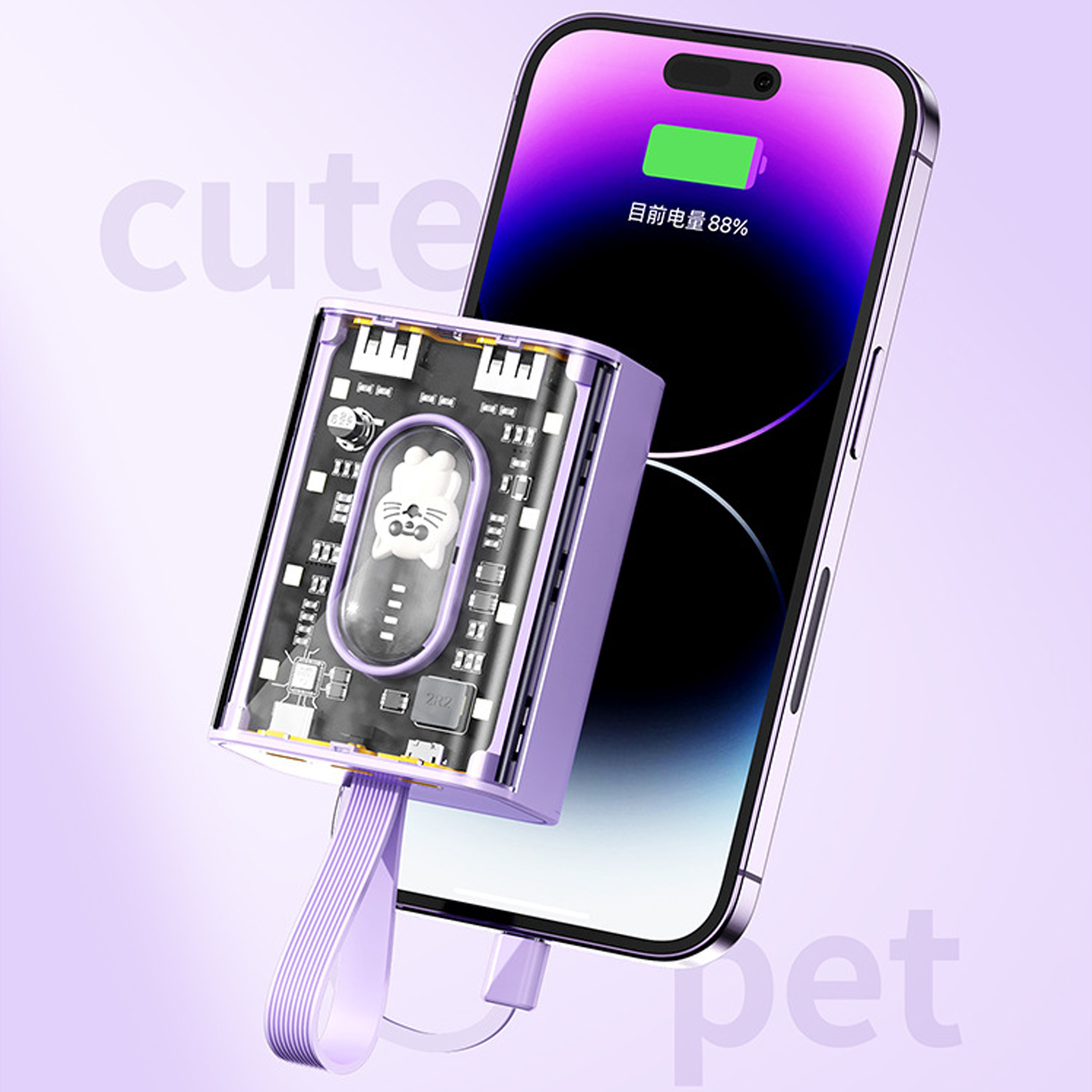 See-Through Power Bank with Night Light