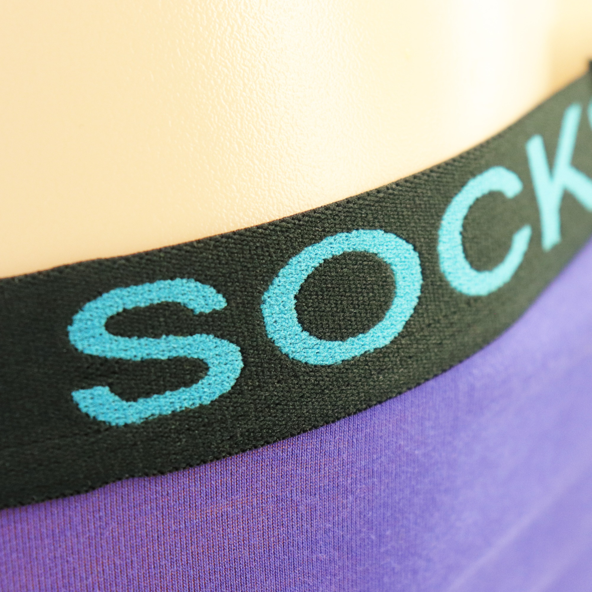 Purple Brief Panties