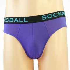 Purple Brief Panties