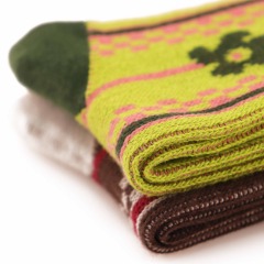 Little flower blooming socks