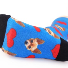 Lovely Dogs Socks
