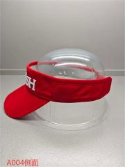 Sun Visor
