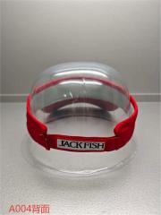Sun Visor
