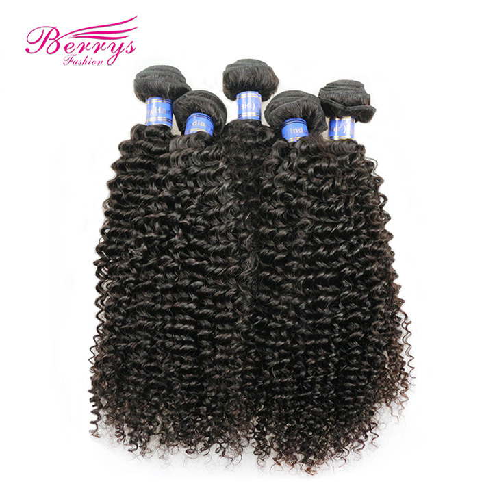 Kinky Curly Hair 5pcs/lot 100% Unprocessed Virgin Indian Hair 10-28 Mix Inch