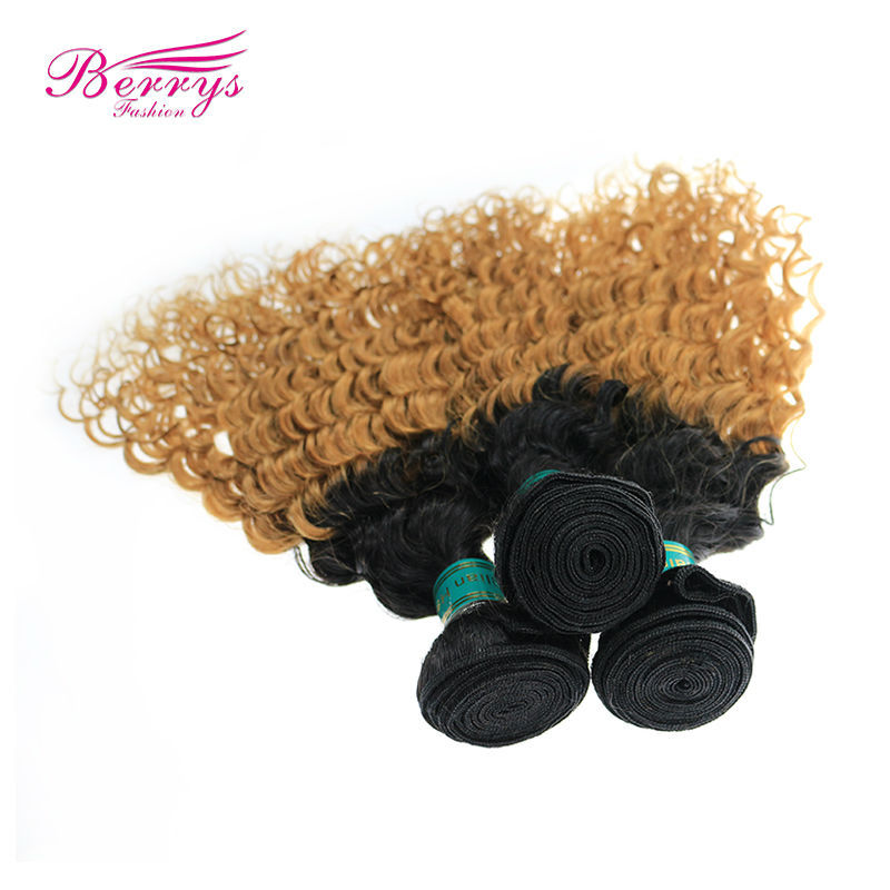 Ombre Hair Extension Brazilian Virgin Hair Deep Wave two tone1b&amp; #27 Color Hair 3pcs/lot