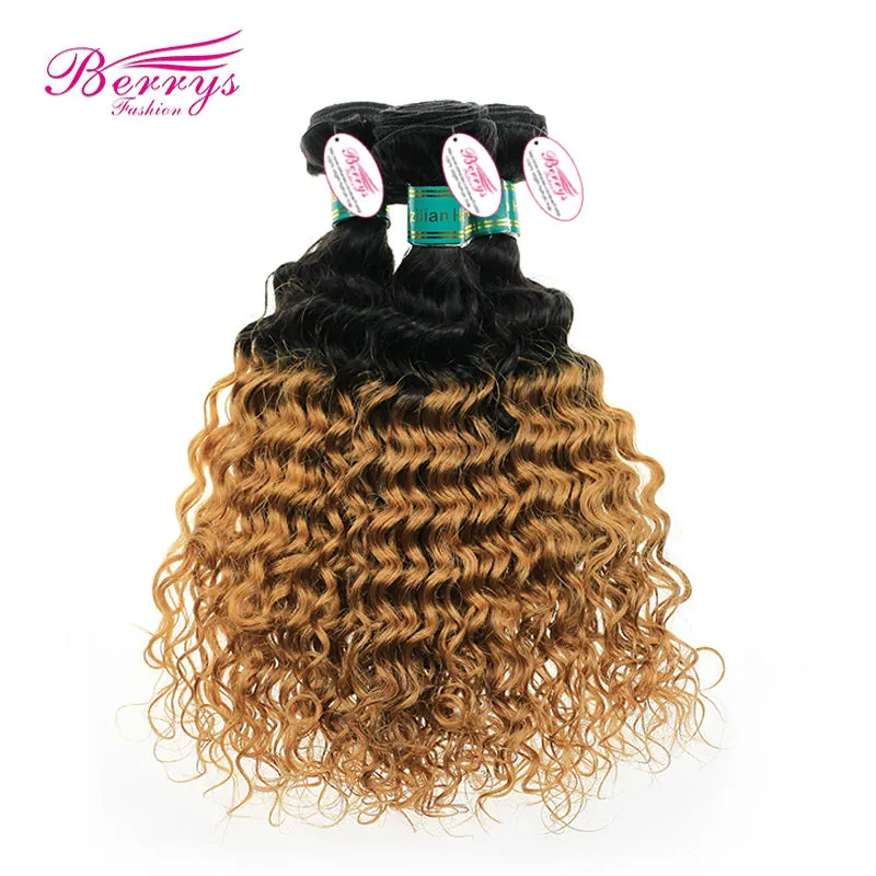 Ombre Hair Extension Brazilian Virgin Hair Deep Wave two tone1b&amp; #27 Color Hair 3pcs/lot