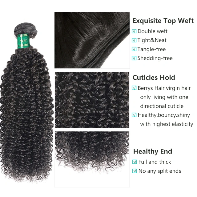 Burmese Red Band Raw Hair Bundles Kinky Curly Human Hair High Quality