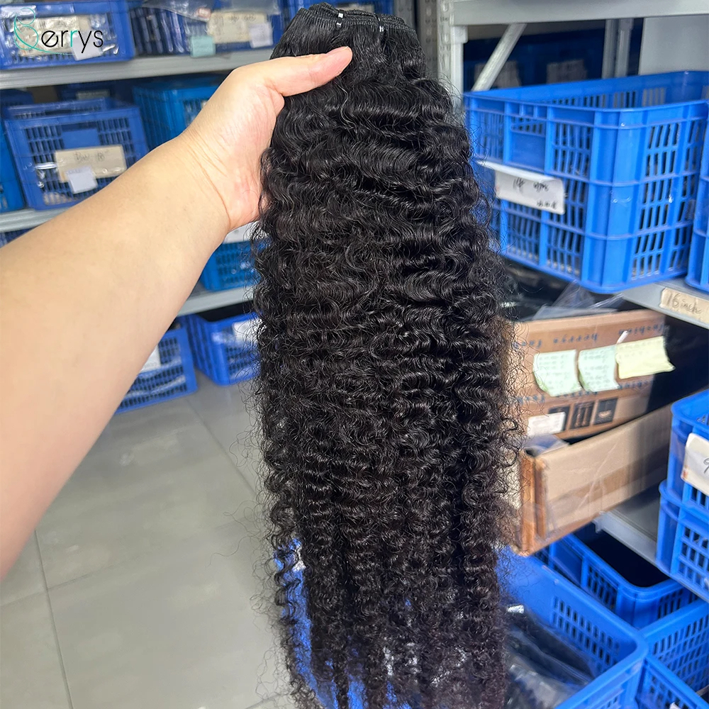 Peruvian Red Band Raw Hair Bundles Burmese Curly Human Hair High Quality Without any Chemical Processed