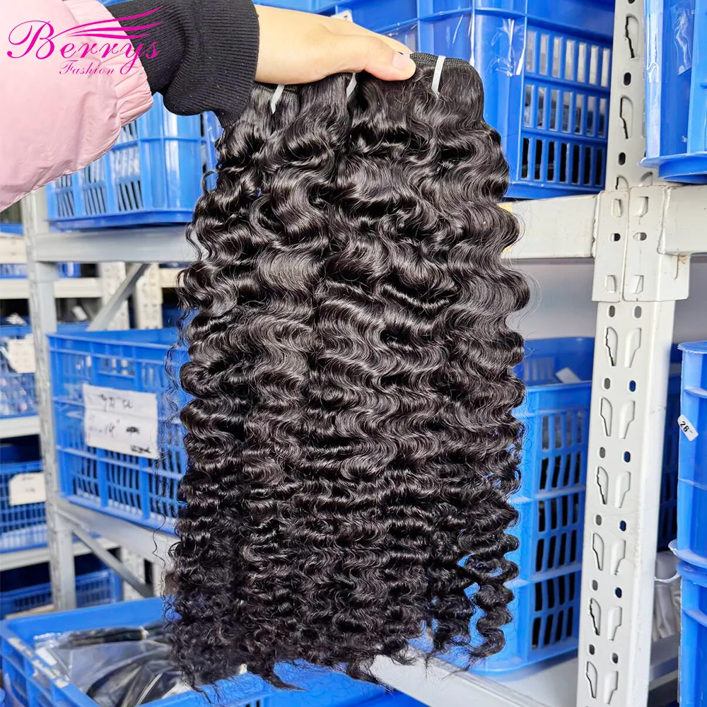 Indian Flat Band Virgin Hair Bundles Burmese Curly 100% Real Human Hair High Quality Without any Chemical Processed