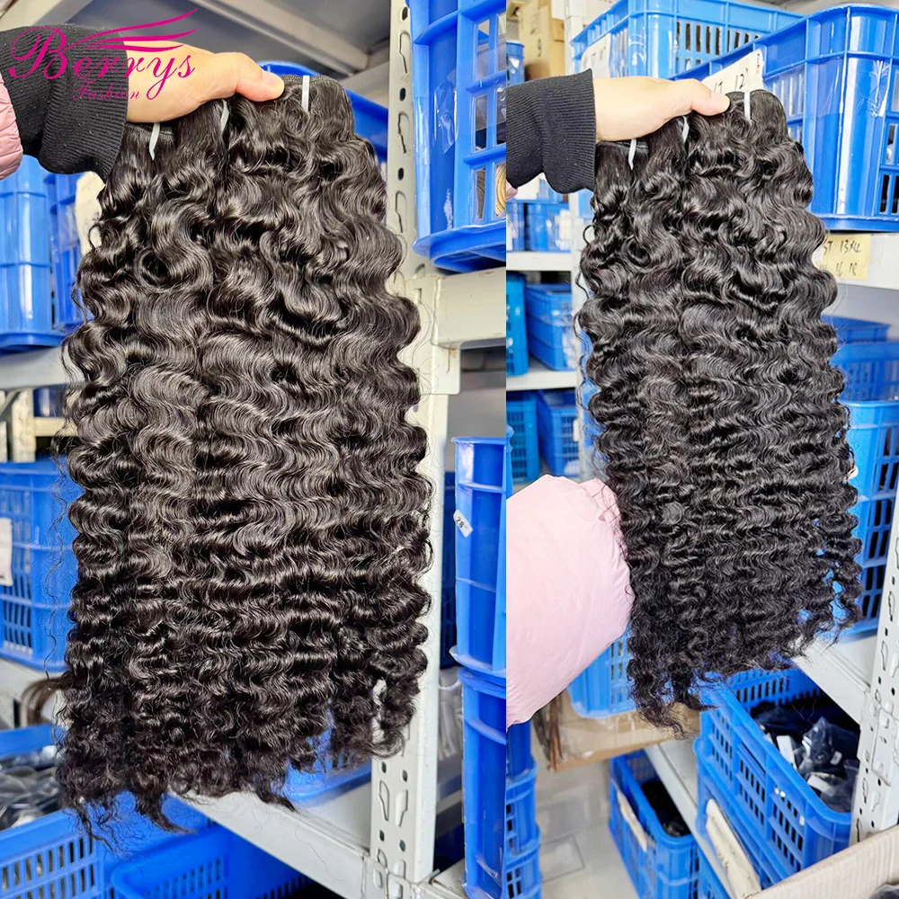 Indian Flat Band Virgin Hair Bundles Burmese Curly 100% Real Human Hair High Quality Without any Chemical Processed