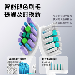 小巧便携刷-BS63