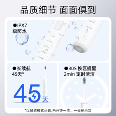 小巧便携刷-BS63