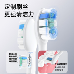 声波长续航-BS61