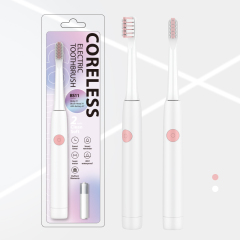 可替换干电池-BS11