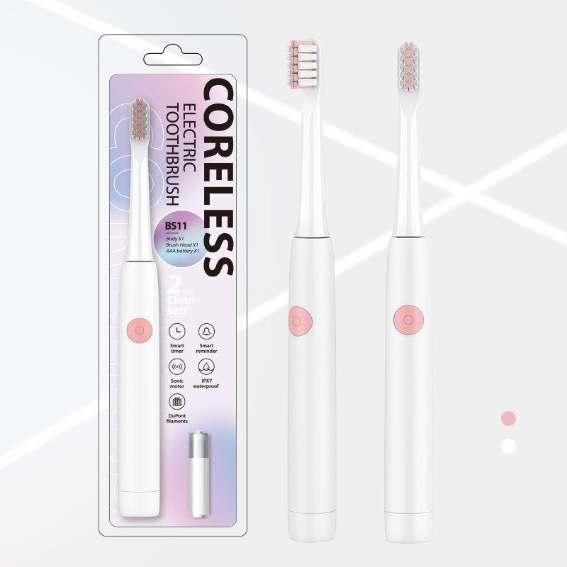 可替换干电池-BS11