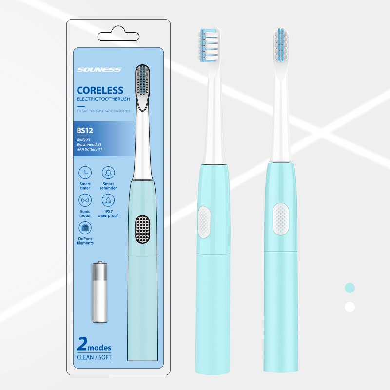 可替换干电池-BS12