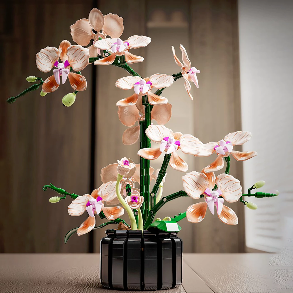 MJI 13111 Phalaenopsis Creator Expert