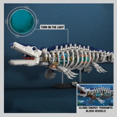 30603